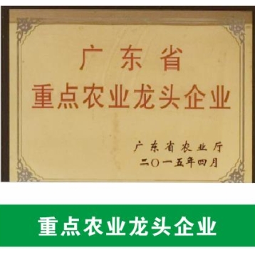 廣東省重點(diǎn)農業(yè)龍頭企業(yè)